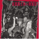 SEEIN' RED - We Need To Do More Than Just Music. LP SEEIN' RED - We Need To Do More Than Just Music. LP